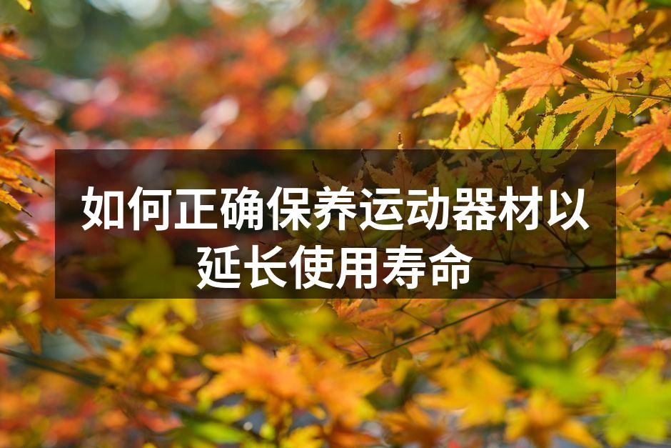 如何正确保养运动器材以延长使用寿命